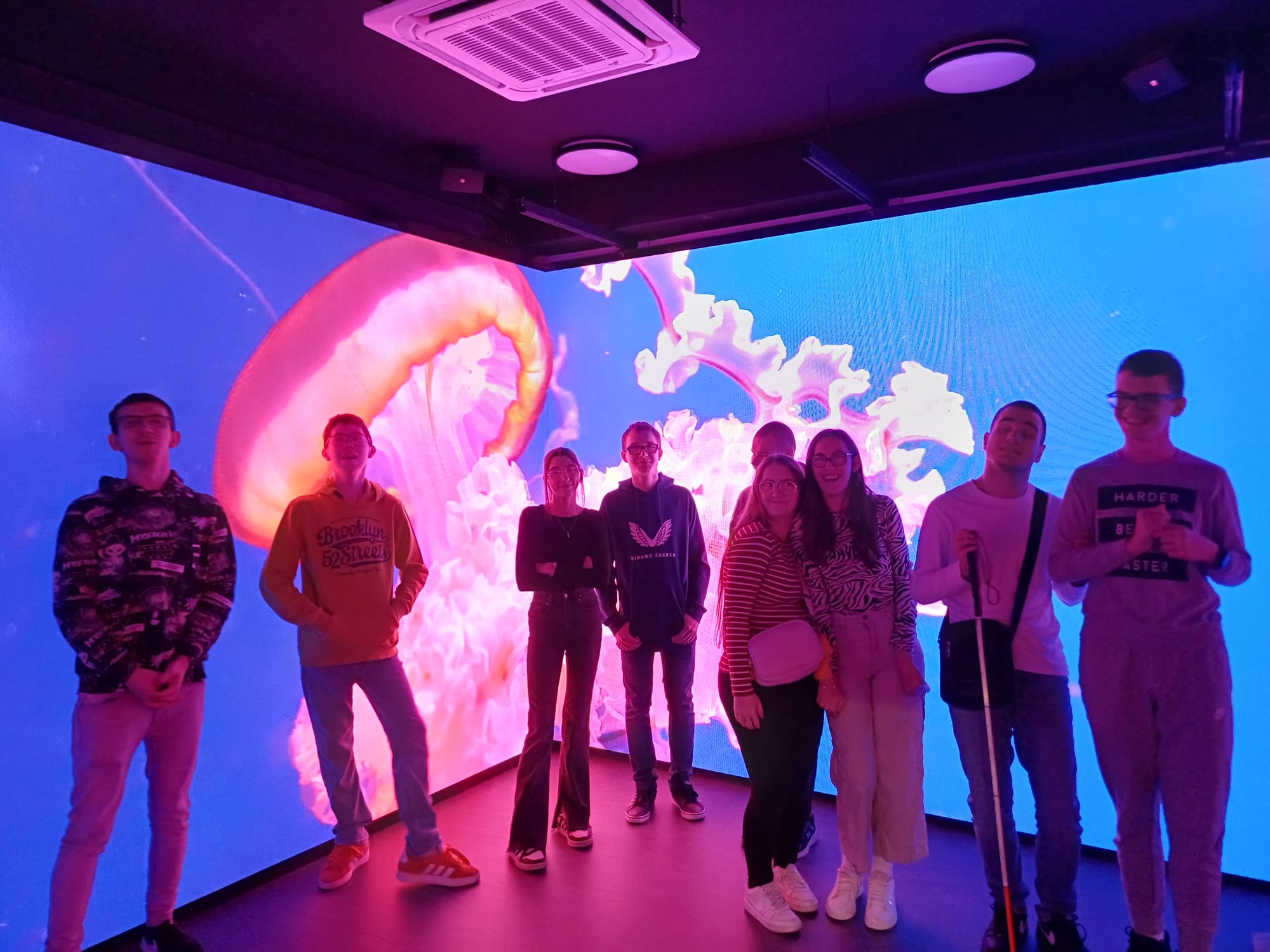 Skupina od devet učenika stoji u prostoriji s golemim ekranom na kojem se prikazuje ružičasta meduza na plavoj pozadini, lice im obasjava šareno svjetlo projekcije.